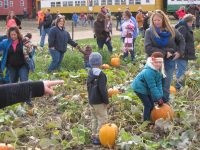 A PVH&M Railroad image