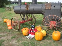 A PVH&M Railroad image